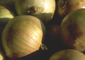cebollas